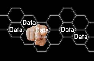 Section 4: Data and Information (IT2)